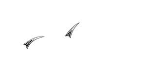 Aunt Charlotte's Candies
